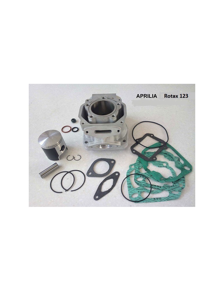 Kit cylindre piston Rotax 123