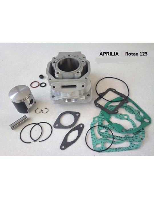 Kit cylindre piston Rotax 123