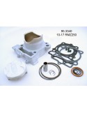 Kit cylindre piston 250 RMZ